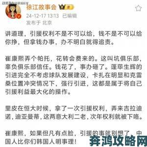 丰年经继拇中文2创新点引骂战网友两极评价真相如何