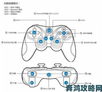 《恐怖黎明》手柄按键与技能设置详尽指南