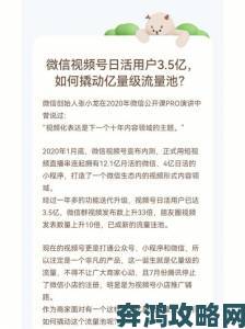 独家解析PR九尾狐运营策略：如何用内容生态撬动千万级流量池