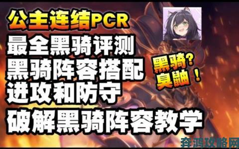 公主连结国服黑骑阵容怎么搭配 推图竞技场最强阵容攻略