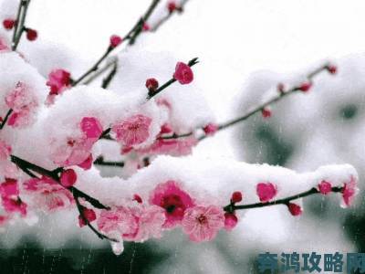 花落雪一日成仙超详细打法流程