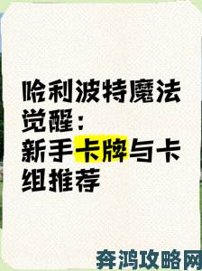 哈利波特魔法觉醒甜点大师卡组搭配指南