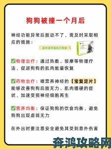 网友热议狗狗东西又硬又长的原因竟是自然进化关键保护机制