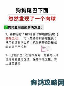 网友热议狗狗东西又硬又长的原因竟是自然进化关键保护机制