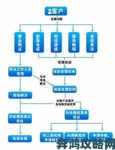 当鸟动漫被投诉侵权平台处理流程与用户权益保障分析