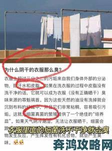 办公室能不能干湿你的衣服 为什么你的衣服总在办公区难干