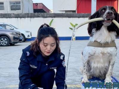 藏獒大G又粗又长惊现街头女警英勇制服背后隐患令人忧心