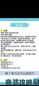 白洁王乙进阶教程手把手教你掌握核心技巧轻松通关