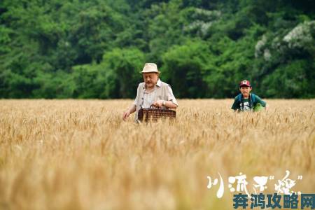 大地8在线影视免费观看流量暴增背后暗藏非法资源传播风险