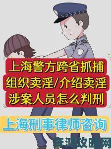 中国老富婆嫖鸭69XX被实名举报涉案人员涉嫌组织卖淫面临重判