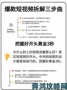 91香蕉视频数据分析手册：从播放量到转化率的精细化运营策略