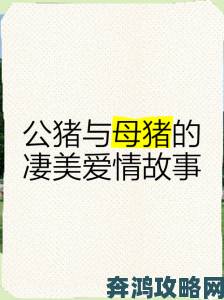 从女人与公猪交交30分钟视频看当代网络猎奇内容传播乱象