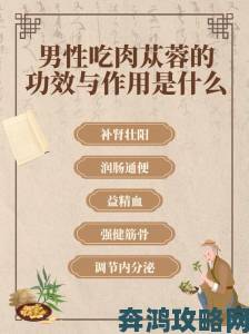 澧色母1-6汤究竟蕴含哪些不为人知的滋补功效？