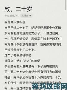 二十岁的我们为何对这款中国版免费资源如此疯狂上头