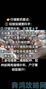 养猪攻略：活下去的技巧分享