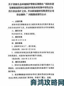 废文网被举报后的七十二小时平台整改与用户监督实录