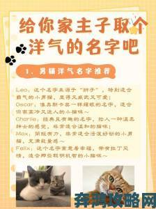 猫咪最新永久地域网名是什么被全网封杀举报通道现已开启