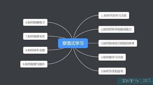 如何用蜜桃视频快速找到心仪内容资深用户教你高效攻略