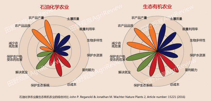 关于玉势违规使用化学药剂的最新举报材料引发生态担忧