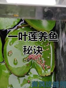 会鲤鱼吸水能抓住男人的心吗从古至今两性博弈的终极拷问