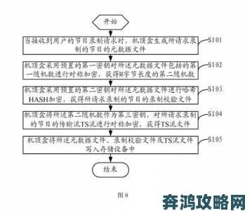 深入分析18HD与19HD的举报机制，揭示用户权益保护的隐秘角落与解决方案