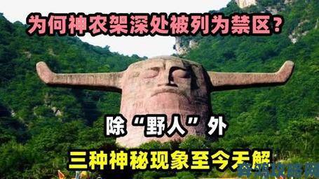 ppypp火爆全网背后真相：年轻人为何集体沉迷这一神秘现象？