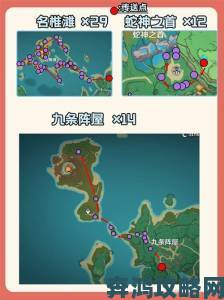 《原神》九条裟罗突破材料血斛采集全路线