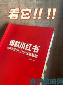 欧美一二区创作者爆料平台流量分配的真实密码