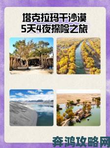 探索波西亚时光：沙漠之旅的详细指南