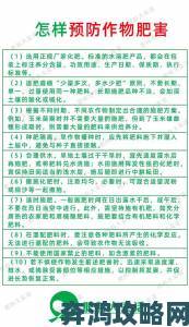 偷偷草高效种植指南手把手教你避开常见误区