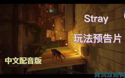 猫咪冒险游戏《Stray》在韩国获评级，2022年发售