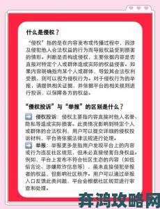 大尺寸视频素材侵权如何举报？关键证据收集与维权指南