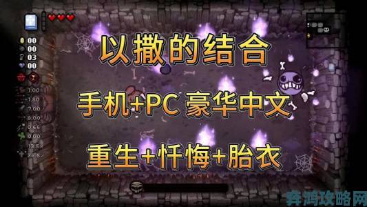 《以撒的结合：胎衣》或仅于PS4和PC平台推出