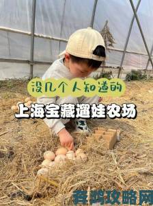 拔萝卜项目违规操作引众怒多人实名举报问责