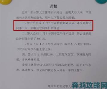 因爱疯狂遭官方通报举报者公开其突破道德底线全过程