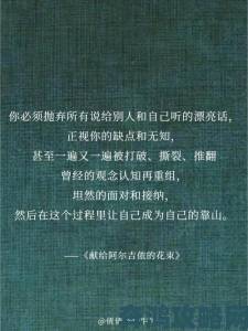 年轻人沉迷a漫背后：虚拟欲望与现实道德碰撞引发的代际观念撕裂