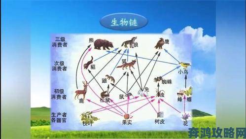 美国zoom动物仙踪林为何能入选全球十大生态教育基地