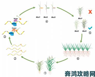 桃子移植遭遇气候挑战科研团队推出抗逆性改良方案