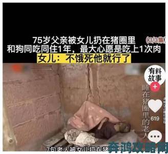 农村老人与猪猪相依为命的故事为何让城市人集体破防落泪