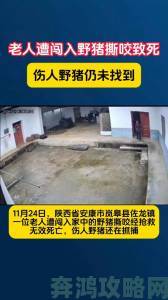 农村老人与猪猪相依为命的故事为何让城市人集体破防落泪