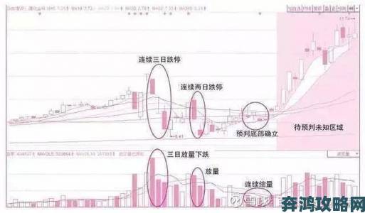 大婶的肥沃的土地有多少字一文讲透土地价值与文字体量关联分析