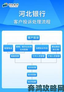 深度解析举报流程与技巧，帮助你有效维护网络安全与权益