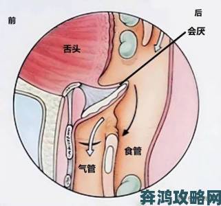 怎么做到整根吞到喉咙行业标准解读与实操经验分享