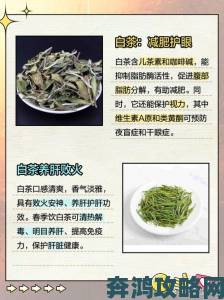 探秘被誉为万病之药的神奇白茶