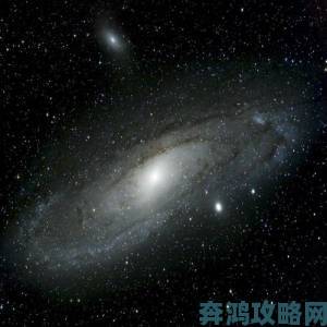 xk8027星空无限违规操作遭曝光用户联名提交证据链