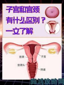 14CM可以插到宫颈吗这些身体信号你一定要知道