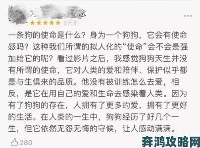 我的漂亮的瘦子3用户体验报告观众真实评价引发共鸣