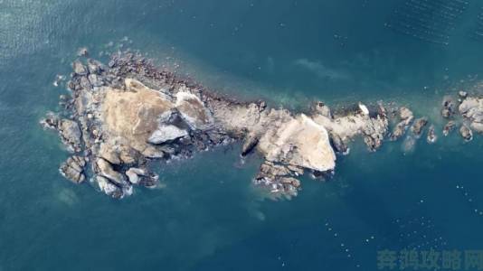 欧洲大属黑吊粗大栖息地遭破坏引发生态警报