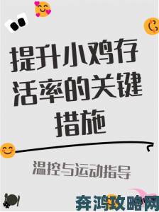 怎么让鸡子变大变粗最简单的方法揭秘：三招科学喂养技巧详解