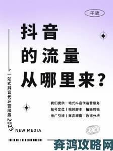 如何在9.1短视频网页入口网站推广中快速提升流量